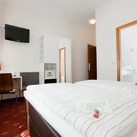 فندق Domstern 3*